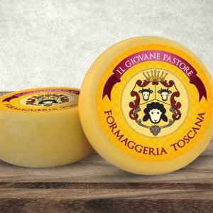 Giovane Pastore Giallo Timbrato