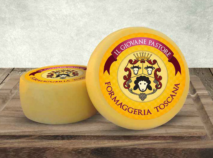 Giovane Pastore Giallo Timbrato