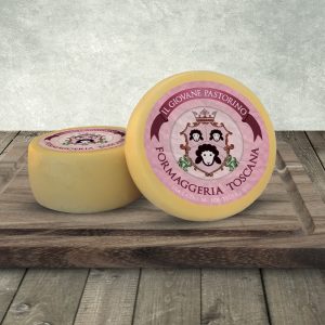 Giovane Pastore Giallo Timbrato