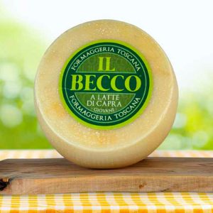 Il Becco Giovane