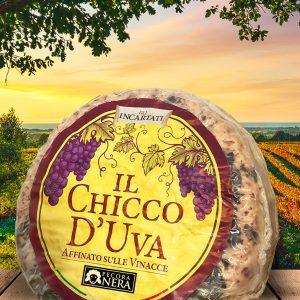 Il Chicco d'Uva
